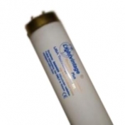 Лампа "Lightvintage Turbo Plus 24/100 Wr L" (176 см)